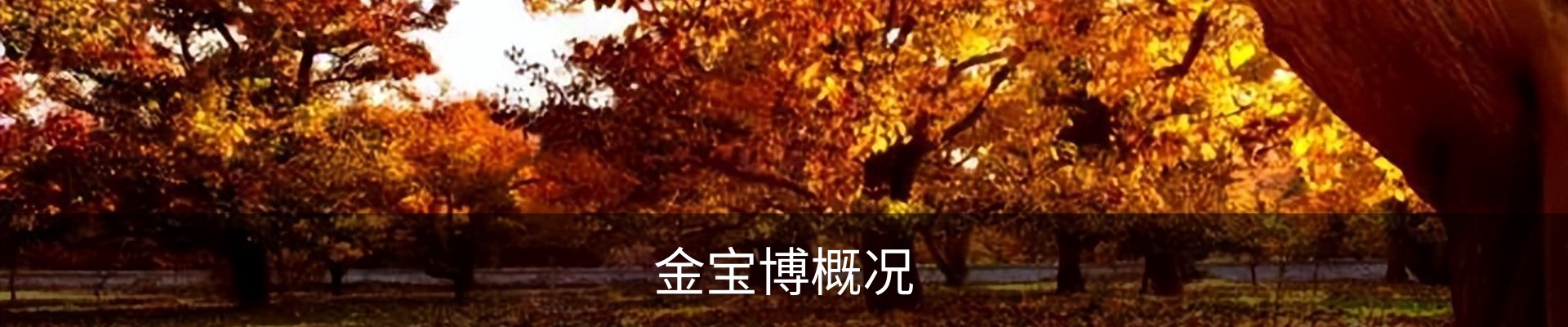 金宝博概况